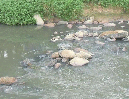 景觀水體、湖泊等生態(tài)修復(fù)方案